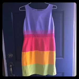 Size 10 petites color block dress